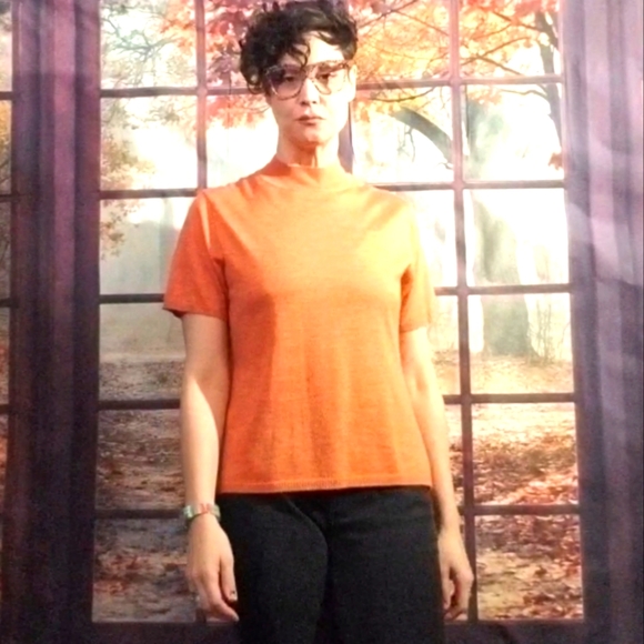 Sag Harbor Petites Orange Spice Sweater Tee Size Medium - Picture 1 of 6